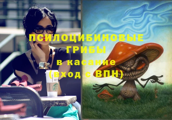 винт Баксан