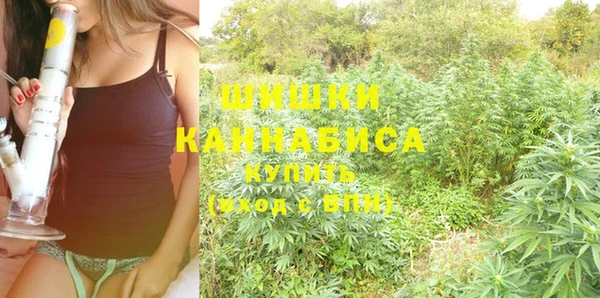 винт Баксан